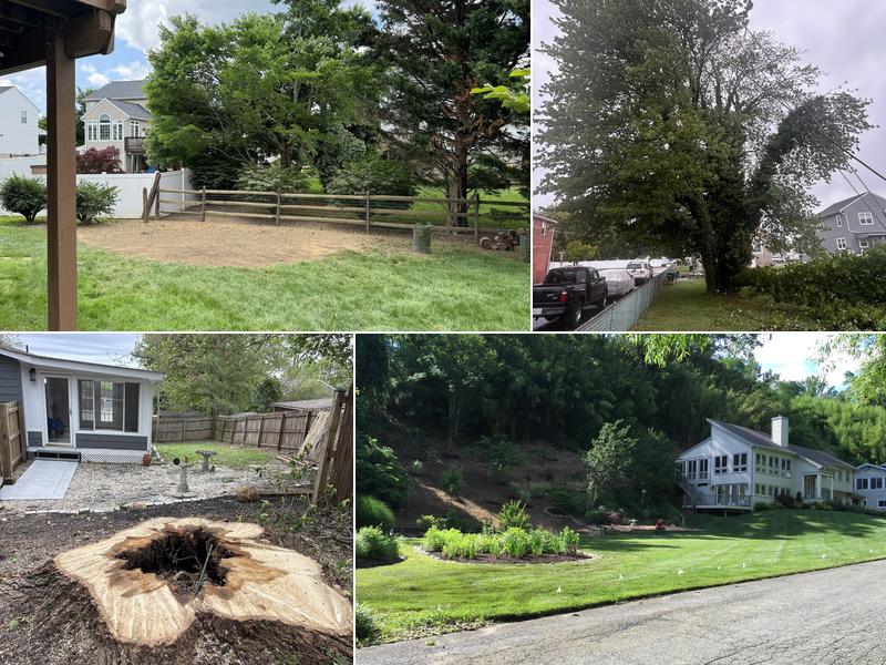 Universal Tree Expert.LLC