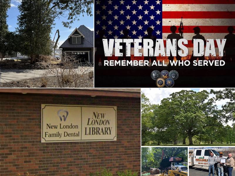 Maximum Tree Service & Landscaping