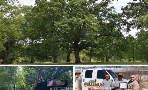 Maximum Tree Service & Landscaping 15 Ash St NE, New London Minnesota 56273