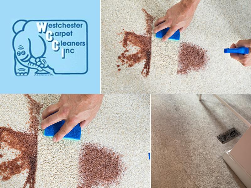 Westchester Carpet Cleaners Inc