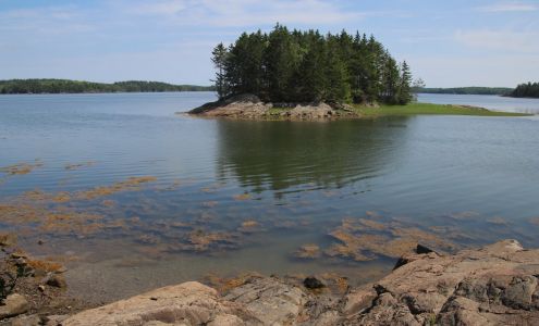 Cobscook Bay State Park Dennysville