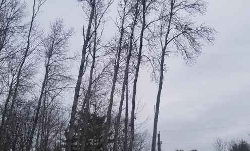 Travy's Tree Service 6 Union St, Newport New Hampshire 03773