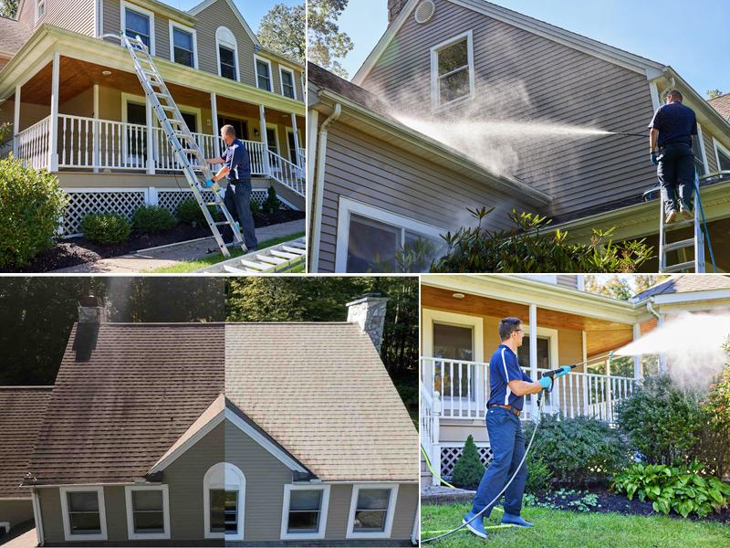 Bright Brothers of the Valley