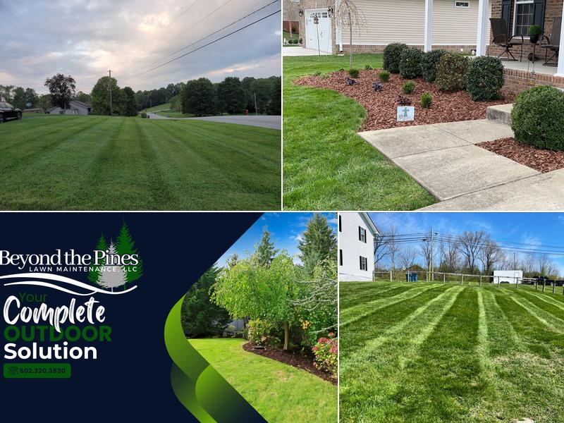 Beyond the Pines Lawn Maintenance LLC