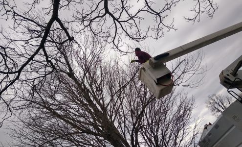 Willoughby Tree Services 800 Case Ln, Crittenden Kentucky 41030