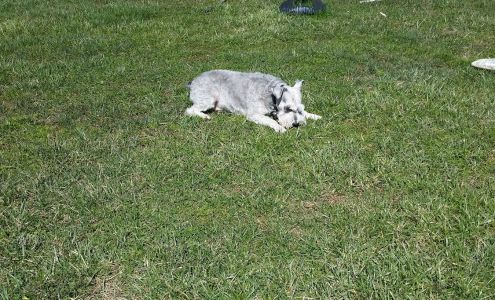 Terra Firma Landscape Co