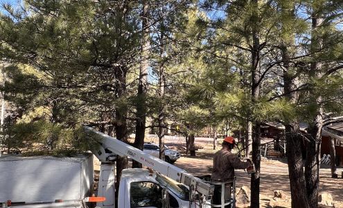 White Mountains Tree Service 407 W 4th St #729, Eagar Arizona 85925