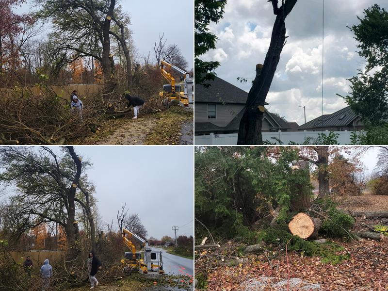 Fox's Tree Service LLC