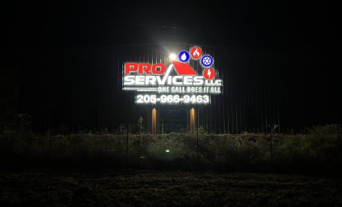 Pro Services LLC