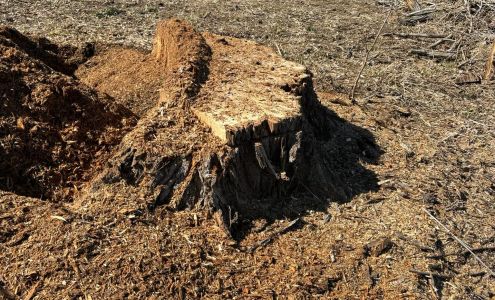 Lee's Tree Services 776 210th Ave, Monmouth Illinois 61462