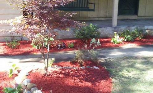 Shawnz's tree service