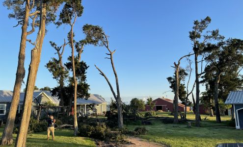 Diaz Brothers Landscaping & Tree Services