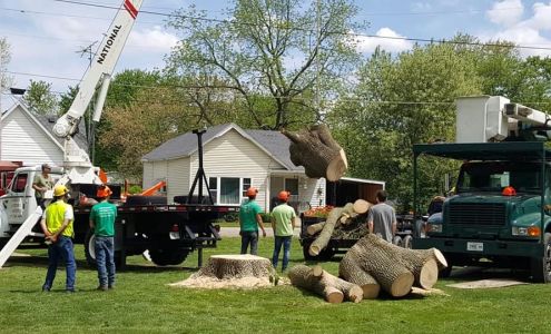 Owen's Tree Care 303 W Main, Camargo Illinois 61919