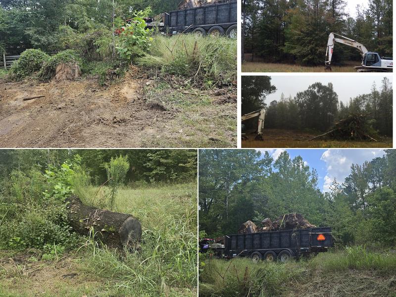 Whitaker Services and Construction LLC