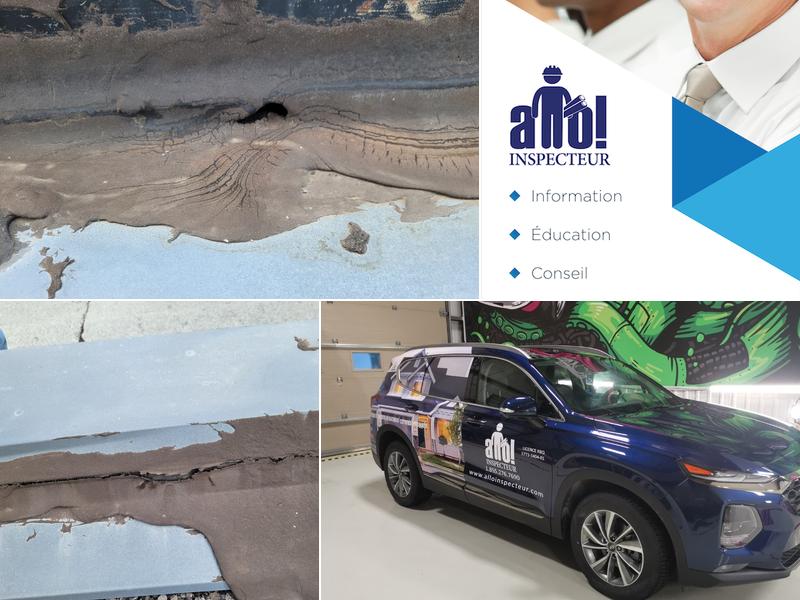 Allo Inspecteur - Inspecteur et expert en bâtiments