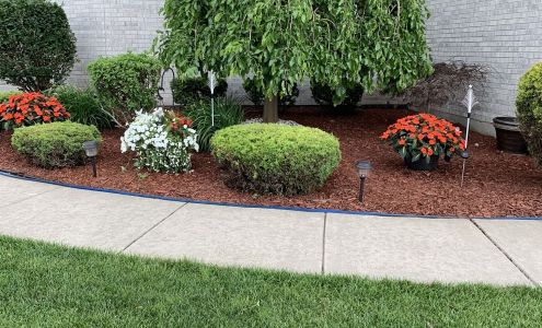 Wills Lawn And Landscaping