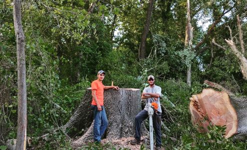 Pro Equip Tree & Landscape 6490 Rocky Branch Rd, Stony Creek Virginia 23882