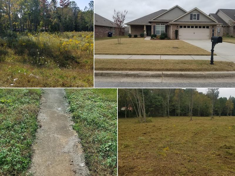 Premier Landscape and Maintenance