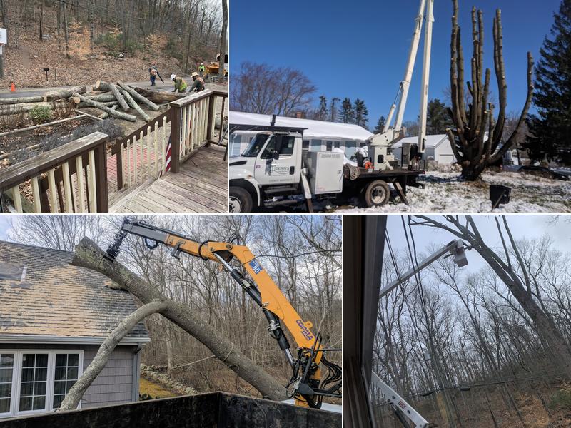 Dunn's Tree Service LLC