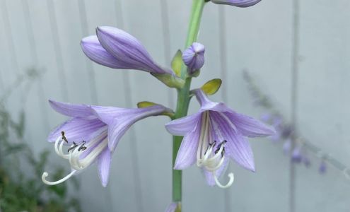 Ecoscape Lawn & Landcare llc 5330 SE Croco Rd, Berryton Kansas 66409