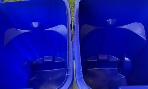 Trash Bin Master Cleaning