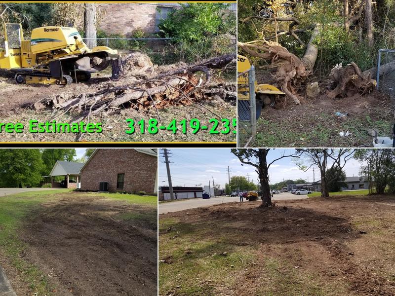 Futrell Stump Grinding