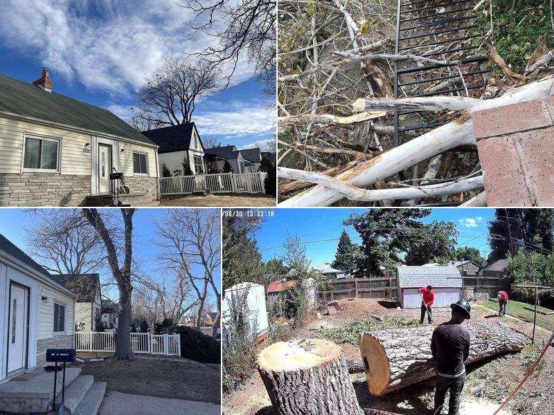 Prosperity Landscaping & Tree Service, Llc