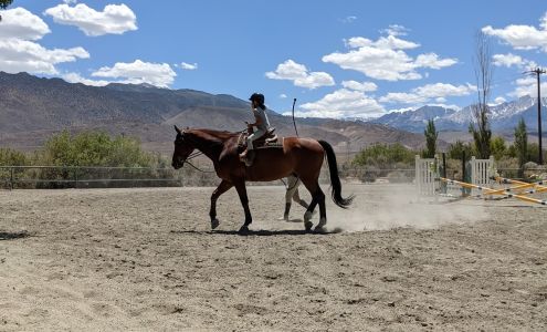 Hidden Creeks Ranch 85 Reata Rd, Bishop California 93514