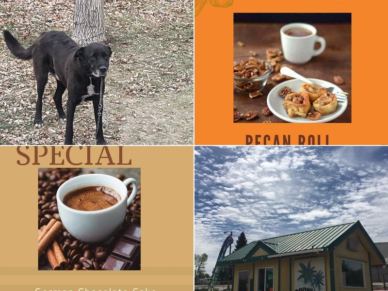 Bikini Coffee LLC 107 Indiana St, Chinook