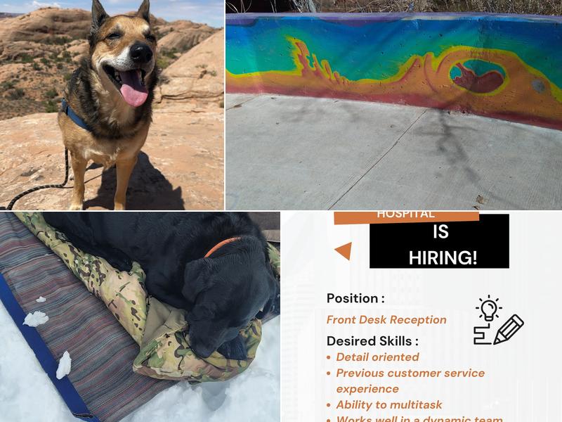 Mill Creek Animal Hospital