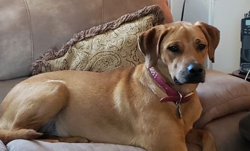 Powder River Veterinary Clinic