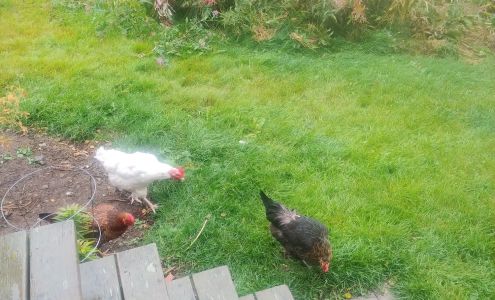 Fritz Creek Guest House Homer