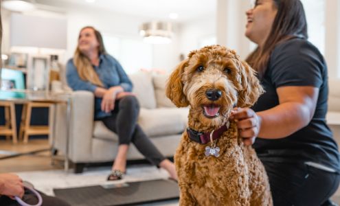 Chasing Tails Mobile Veterinary Services - Houston 5201 Mitchelldale St Suite 9A13, Houston Texas 77092