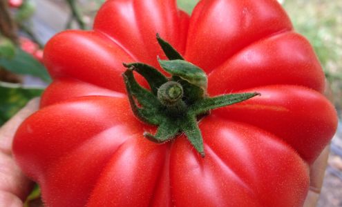 Two Roads Farm Denman Island