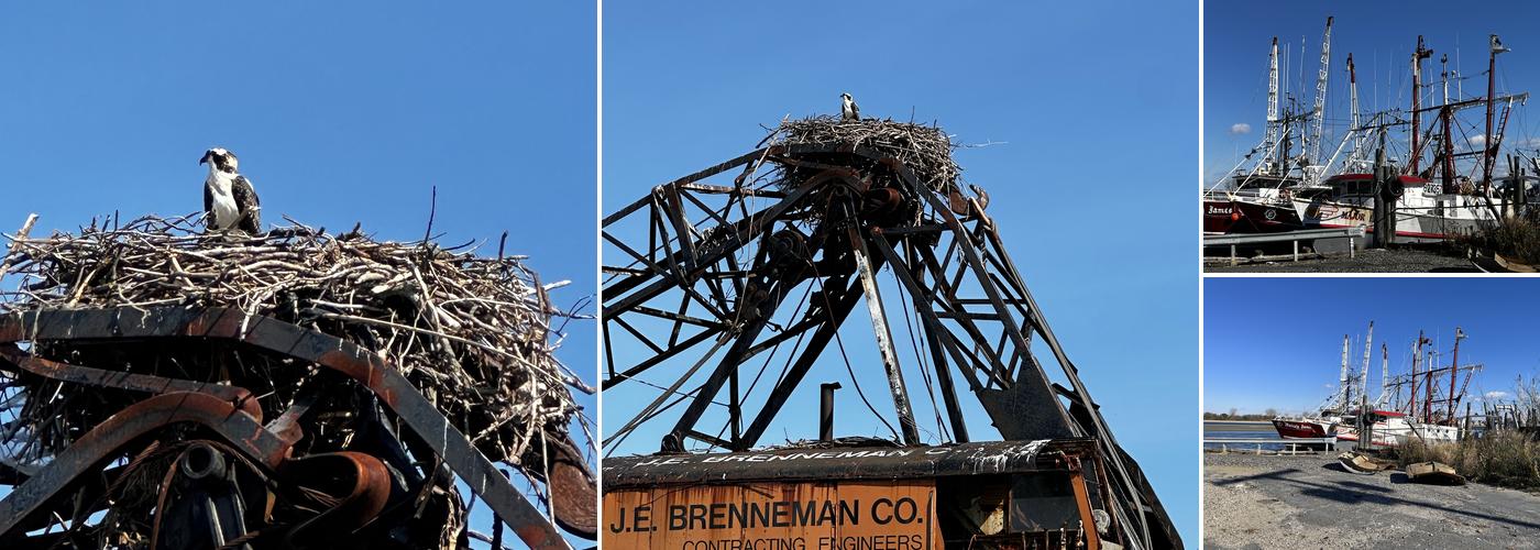 Point Pleasant Packing Inc