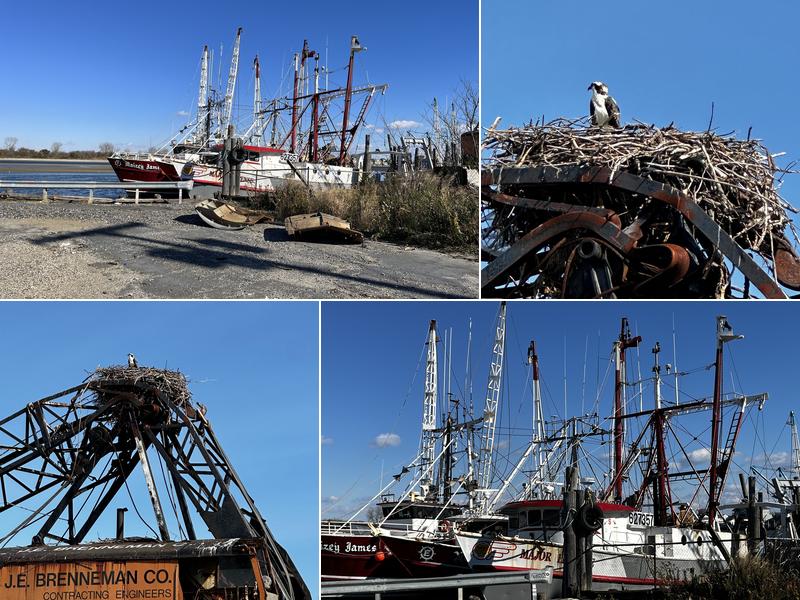 Point Pleasant Packing Inc