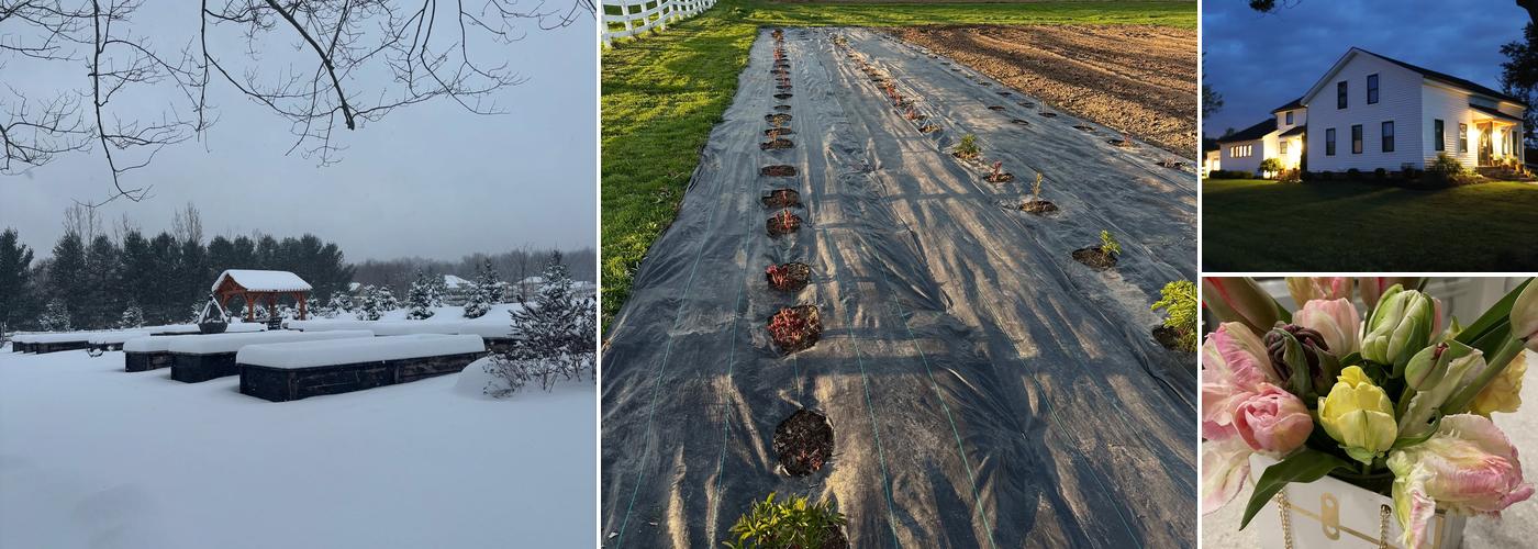 White Barn Mercantile