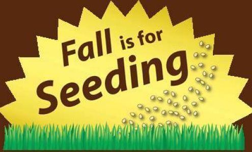 Care More Turf Maintenance Rawlins