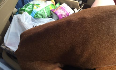 Geyser Creek Boarding Kennels Dubois