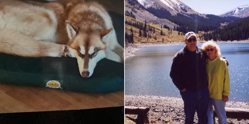 Chadwick Veterinary Hospital