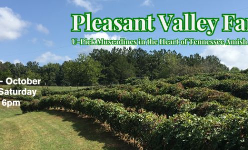 Pleasant Valley Farm Ethridge