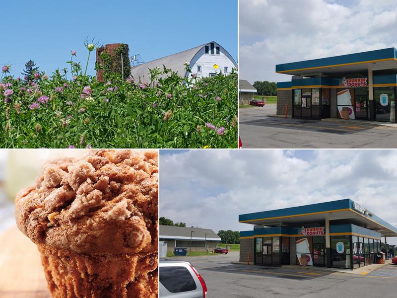 Dunkin' In Mobil Gas Station, 6030 Duanesburg Rd, Duanesburg