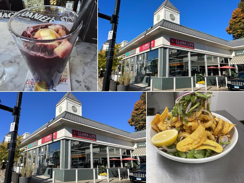 Llama Lips Restaurant Pure Peruvian Home Cooking 870a E Main St, Stamford