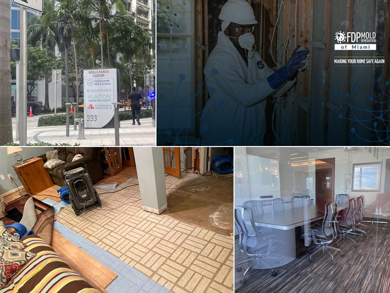FDP Mold Remediation of Miami