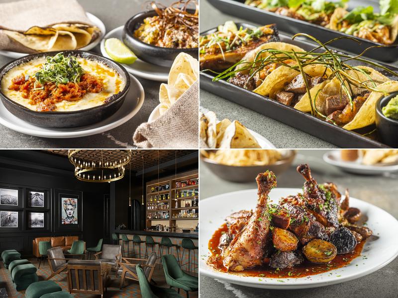 Monarca Modern Mexican Cocina