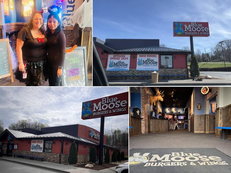 Blue Moose Burgers & Wings