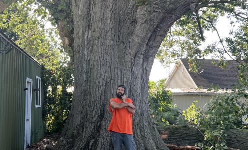 Randy's Tree Service 33058 IL-10, Mason City Illinois 62664