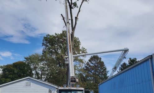 Minor's Tree Services 12710 Pine Ridge Ln, Petersburg Illinois 62675