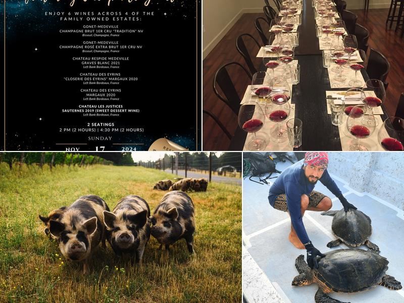 GRAPE + BEAN TASTING ROOM