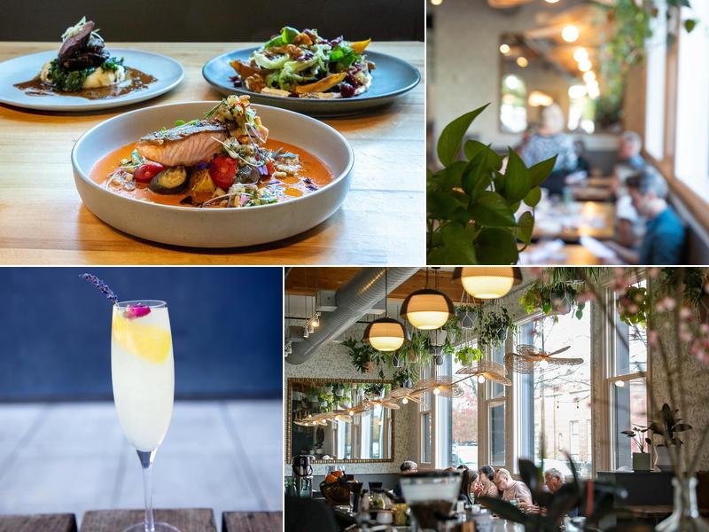 Cypress at the Atticus Hotel